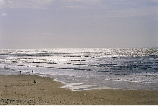 海滩,波浪,雷岛,法国