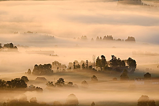 晨雾,风景,靠近,上巴伐利亚,巴伐利亚,德国,欧洲