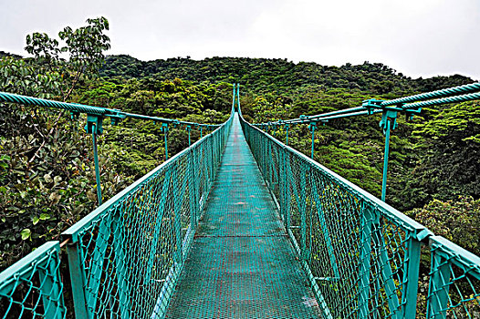 吊桥,雾林,公园,省,阿拉胡埃拉,哥斯达黎加,中美洲
