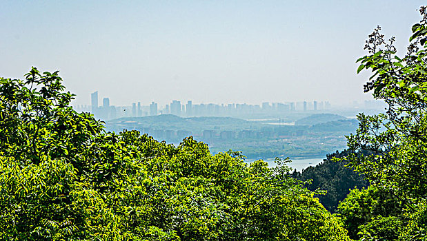 城市,挨着,山