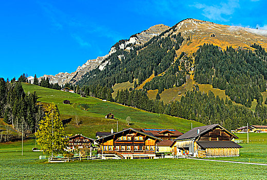 农舍,瑞士,欧洲