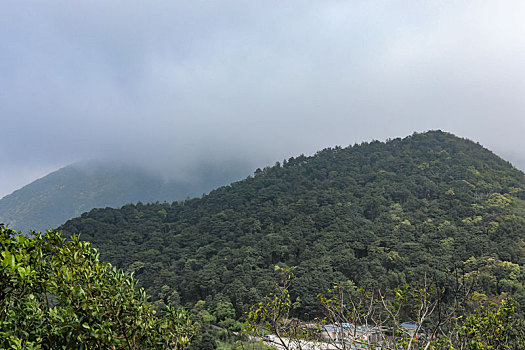 深圳市梧桐山景观