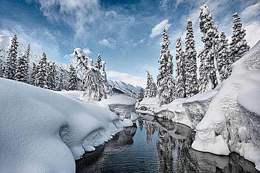 重,雪,长椅,溪流,阿拉斯加,美国,北美