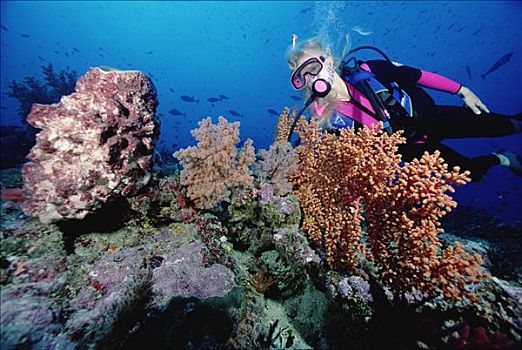 深潜,靠近,珊瑚礁,脚,深,所罗门群岛