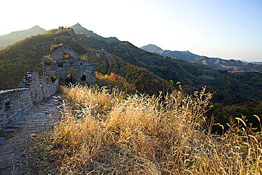 秦皇岛,长城,正冠岭,建筑,遗址,古建筑,军事,防御体系,城墙,坚固,战争,历史,文化