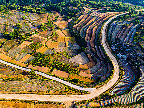 山东沂蒙山梯田