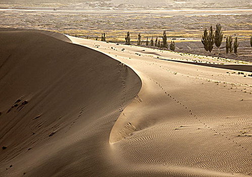 死亡之海,塔克拉玛干沙漠,新疆和田地区