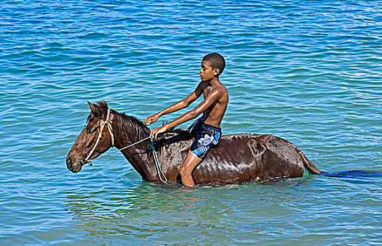男孩,骑马,海中,圣卢西亚,北美