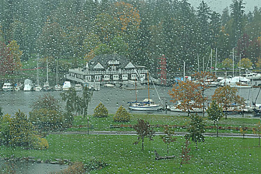 港口,公园,温哥华,划船,不列颠哥伦比亚省,加拿大