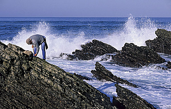葡萄牙,阿尔加维,岩石海岸,渔民,贻贝,自然保护区,哥斯达黎加
