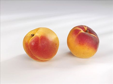 两个,杏子,樱桃属