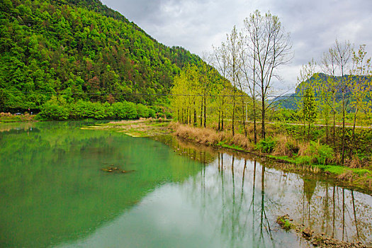 浙江,台州,天台县,龙溪乡,乡村,湿地,山水,小溪,绿色,树木,清明,水,天空