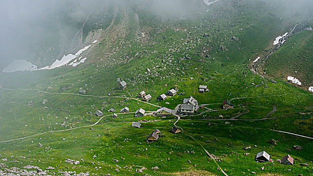 山地牧场,山脉,瑞士,欧洲