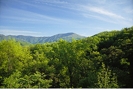 大烟山,田纳西,美国