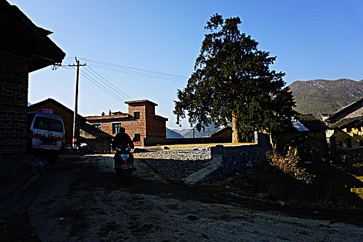 村庄,农村,房子,老屋,土墙,树,山,蓝天,鸡,鸭,草,田地,农舍