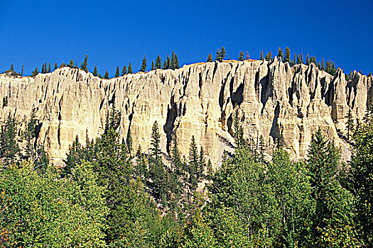怪岩柱,靠近,费尔蒙特,不列颠哥伦比亚省,加拿大