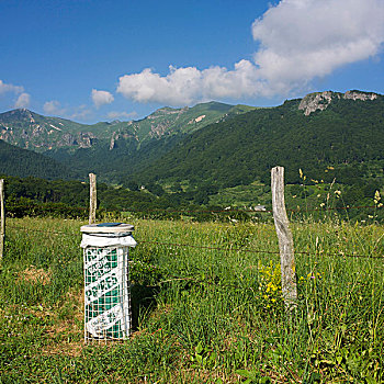 垃圾桶,风景,法国,欧洲