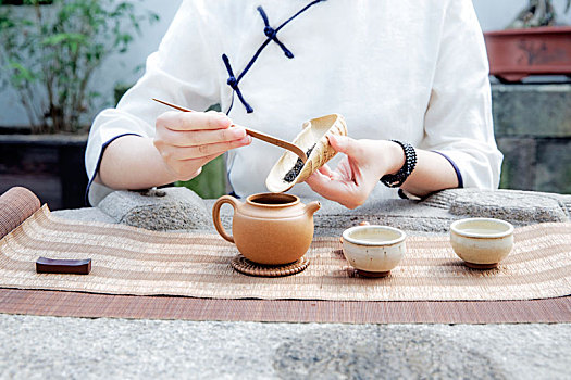 女茶艺师做茶道