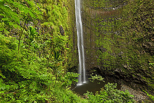 夏威夷,毛伊岛,瀑布,茂密,哈莱亚卡拉国家公园
