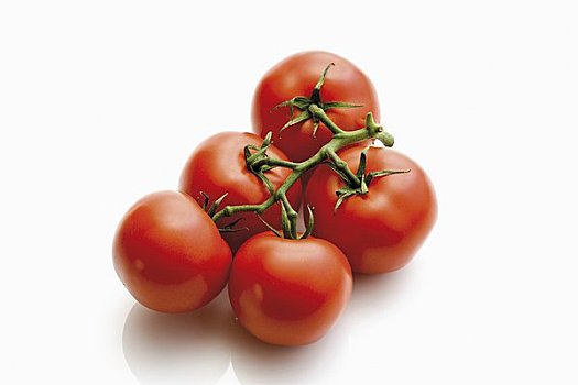 西红柿,藤