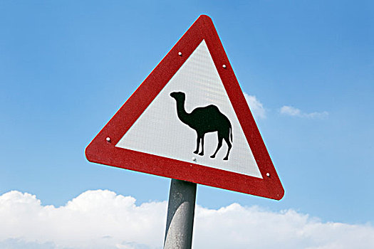骆驼,标识