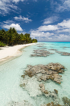 白色,沙滩,棕榈树,蓝色海洋,土阿莫土群岛,法属玻利尼西亚