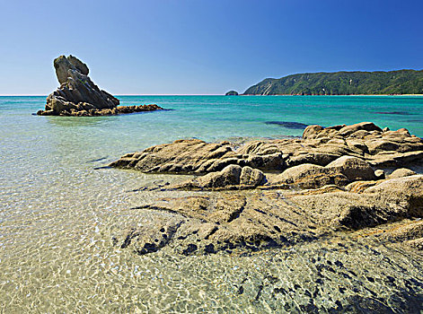 海滩,石头,湾,南岛,新西兰