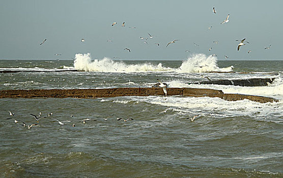 海滨风景