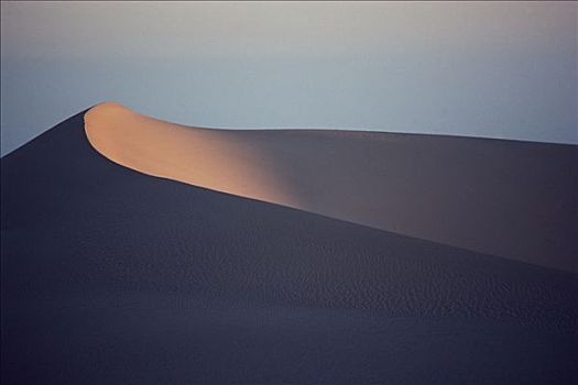 纳米布沙漠,展示,最高,沙丘,世界,纳米比亚