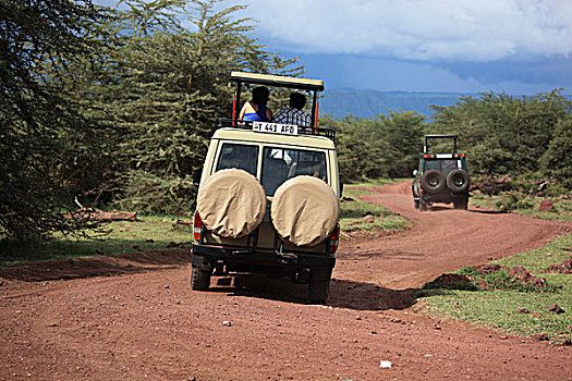 塞伦盖蒂国家公园,坦桑尼亚,非洲