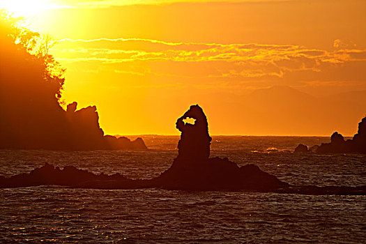 石头,岛屿,日落,奥塔哥,海岸