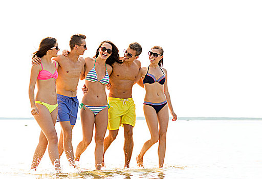 友谊,海洋,暑假,休假,人,概念,群体,微笑,朋友,戴着,泳衣,墨镜,走,海滩