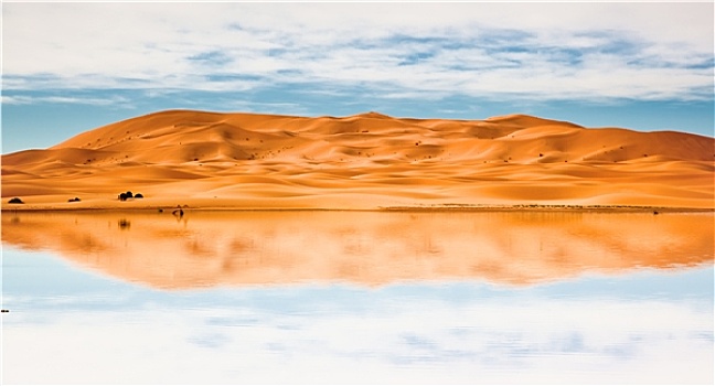 荒漠沙丘,湖