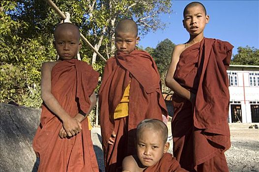 缅甸,四个,孩子,姿势,摄影