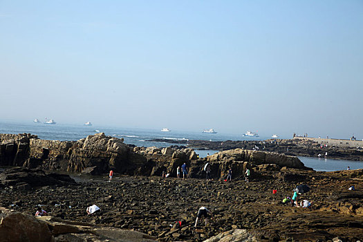 山东省日照市,海滨旅游高潮迭起,游客赶海拾贝乘船捕鱼乐翻天