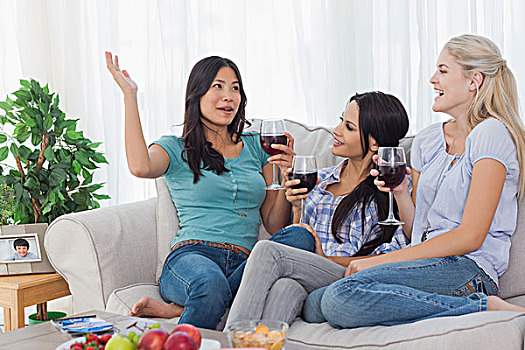 愉悦,朋友,红酒,一起,交谈,在家,沙发
