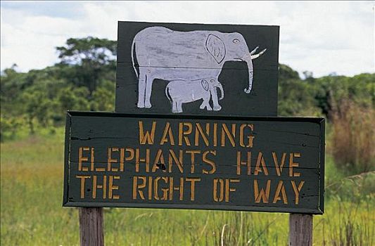 道路,标识,警告,大象,国家公园,马拉维,非洲