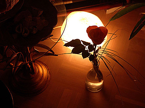 桌子,花瓶,玫瑰,装饰,静物,室内,公寓,地面,明亮,灯,热,舒适,光亮,无人
