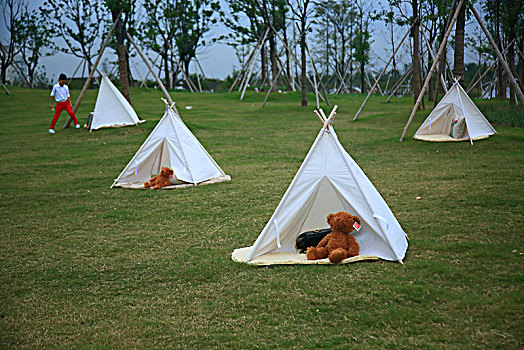 草地,帐篷,家,小熊