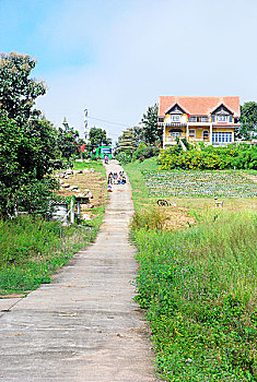 房子小屋小路花草树木红顶