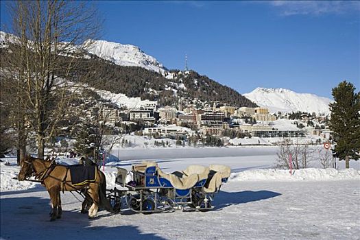 旅游,雪橇,全景,圣莫里茨,湖,冬天,山峦,阿尔卑斯山,瑞士