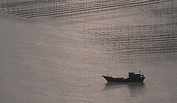福建霞浦,渔船,网架