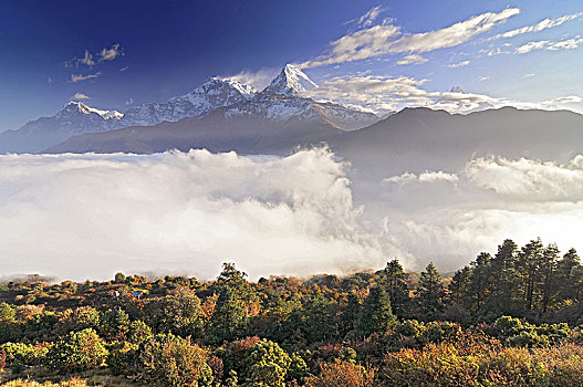 尼泊尔,山,山丘,喜马拉雅山,安纳普尔纳峰,南,风景