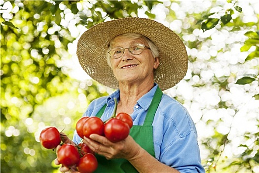 老年,女人,西红柿