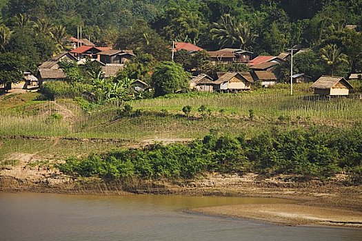 乡村,湄公河,老挝