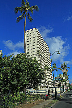夏威夷市内风光