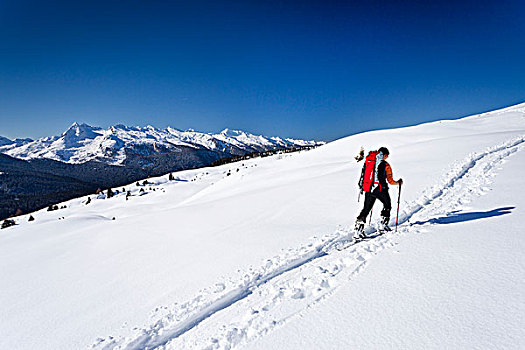滑雪,向上,山,高处,山脉,背影,靠近,白云岩,特兰迪诺,意大利,欧洲