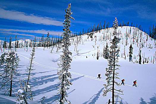 滑雪,旅游,冰冻,湖,蒙大拿
