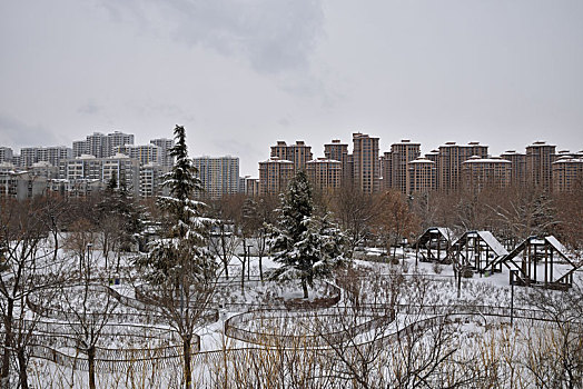 河北省石家庄市公园雪景