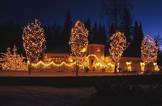 房子,圣诞装饰,冬天
